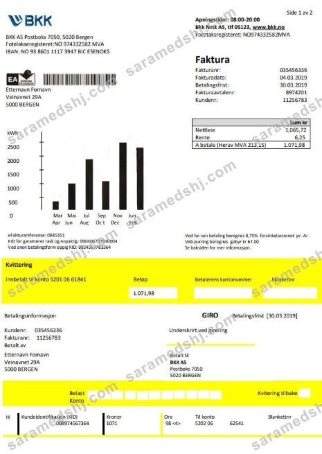 Norway BKK electricity utility bill template in Word and PDF format, good for address prove